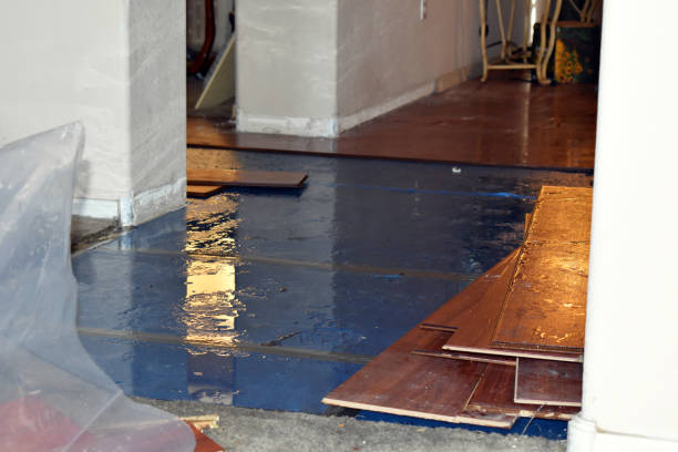 Professional Emergency Water Damage Restoration technician working in Parker City, IN